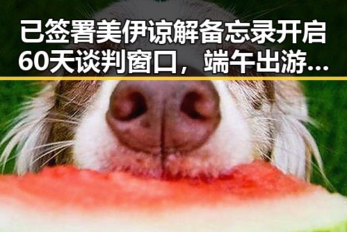 已签署美伊谅解备忘录开启60天谈判窗口,端午出游注意有人被AI忽悠白花1000块